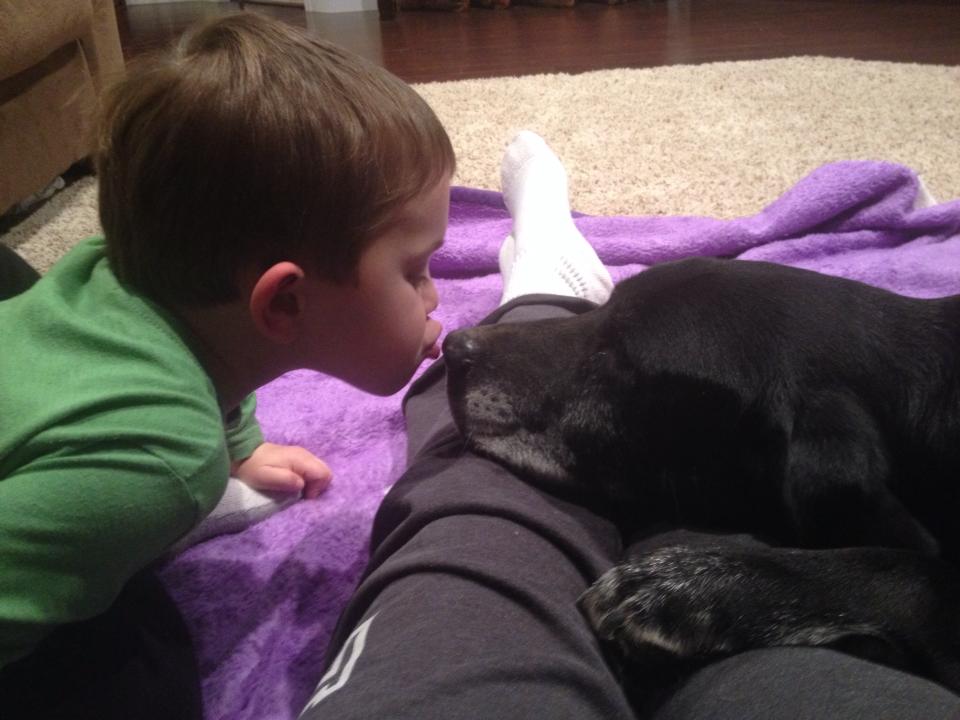 Black Lab & Child Black Lab & Child