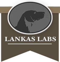 Lankas Labs logo bottom