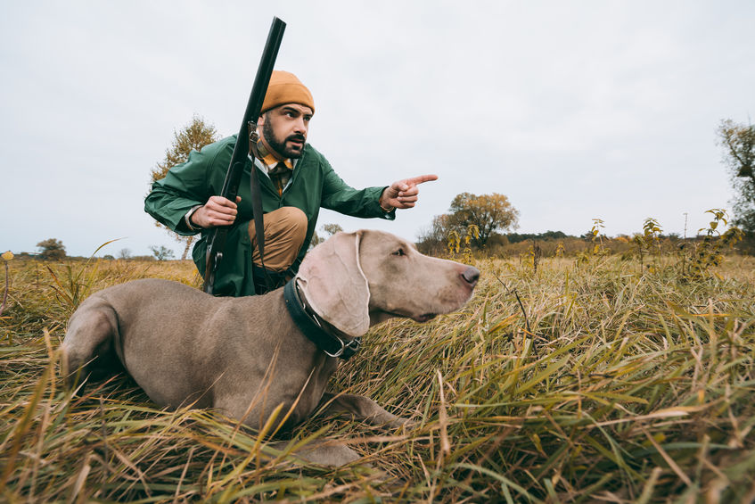 man squatting with a dog and hunting down an animal