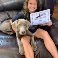 adopted silver pup