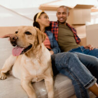 Young couple sitting on a sofa with their Labrador retriever surrounded by moving boxes.