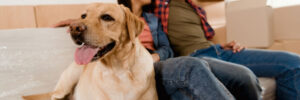 Young couple sitting on a sofa with their Labrador retriever surrounded by moving boxes.