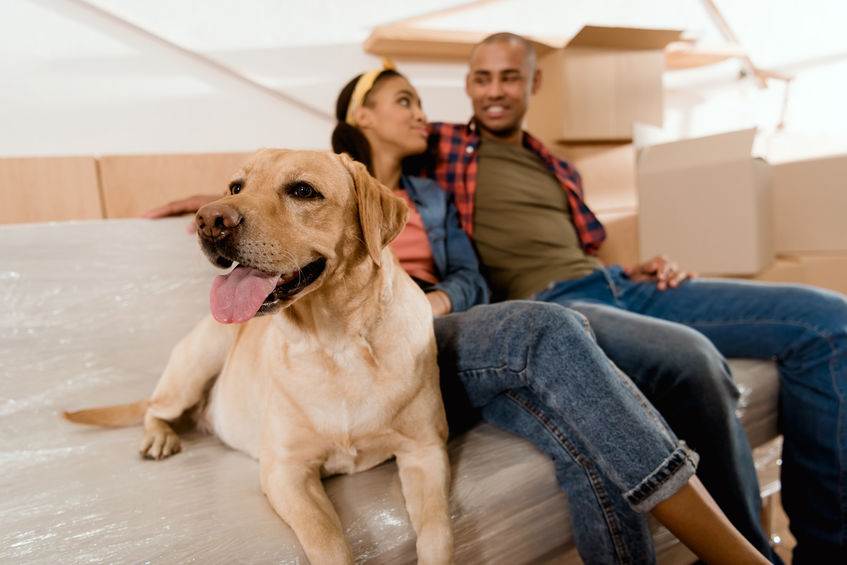 Young couple sitting on a sofa with their Labrador retriever surrounded by moving boxes.