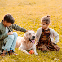 Two little siblings petting a dog and sitting on grass in park