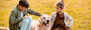 Two little siblings petting a dog and sitting on grass in park