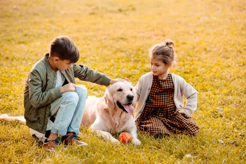 Two little siblings petting a dog and sitting on grass in park