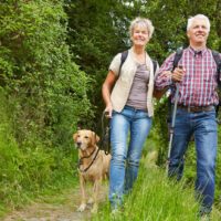 Happy couple of seniors with dog walking with dog