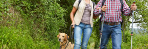 Happy couple of seniors with dog walking with dog